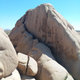 Illustration for article titled My first trip to Joshua Tree National Park